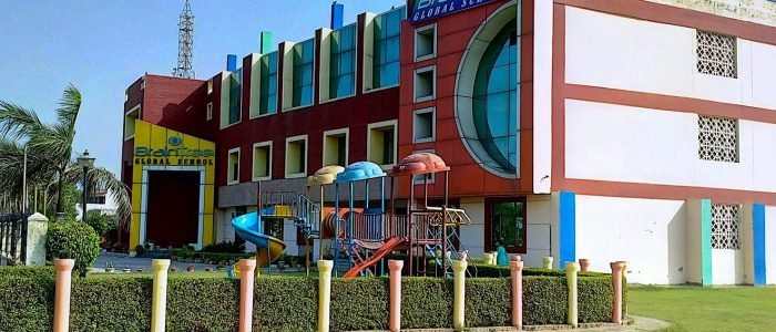 Brain Tree School 1 brain tree school 1