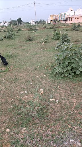 Creative Campus School