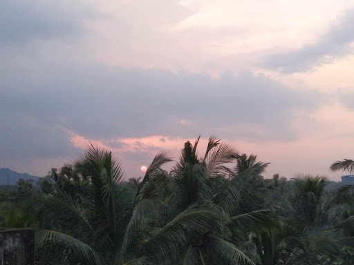 Kendriya Vidyalaya Staff Quarters, Khurda Road