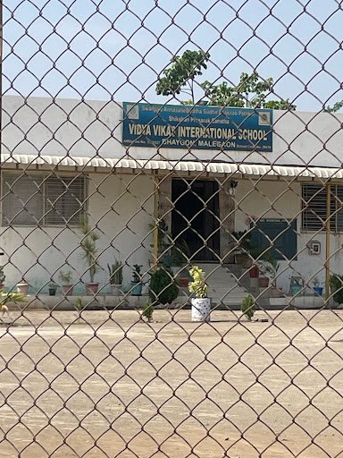 Vidya Vikas International School