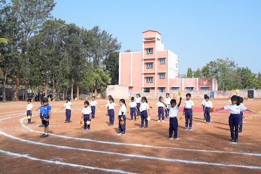 The Learning Curve International School