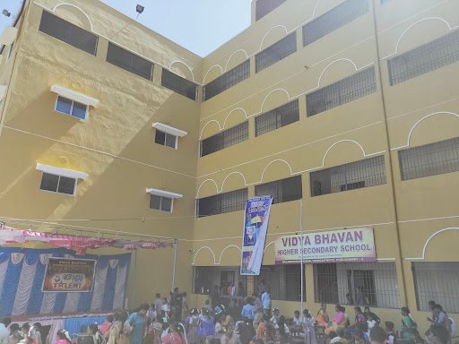Vidya Bhavan Higher Secondary School