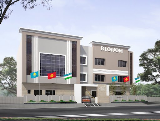 Blossom Academy (Primary School)