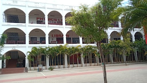 Rose Mary Ideal Public School