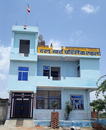 Blue Bird Public School Tonk