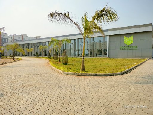 Scotspine International School | Best CBSE School in Vijayawada