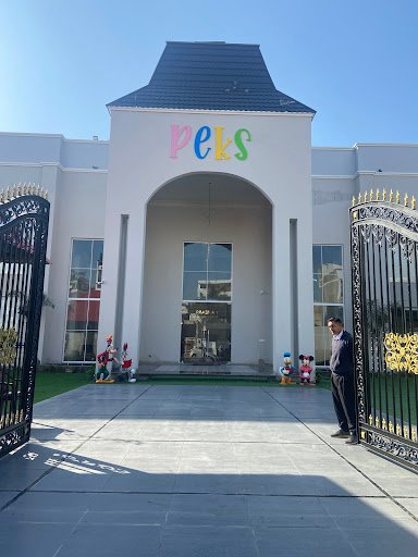 PEKS World | International Play School in Ludhiana PEKS World | International Play School in Ludhiana
