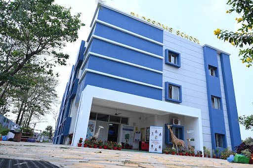 Blossoms School Blossoms School