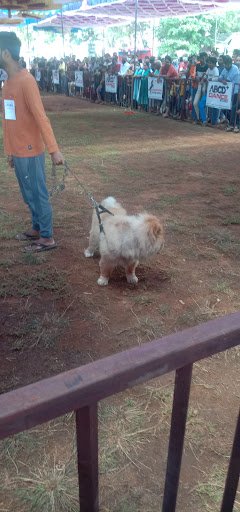 Anubhava Mantapa Anubhava Mantapa