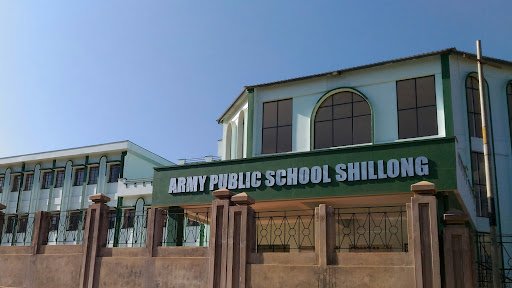 Army Public School