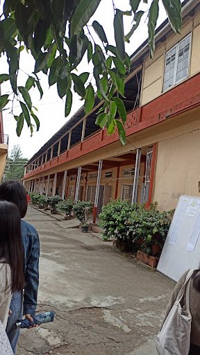 Synod Higher Secondary School