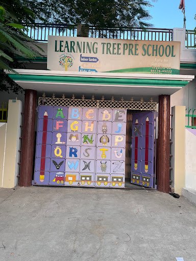 Learning tree fazilka Learning tree fazilka