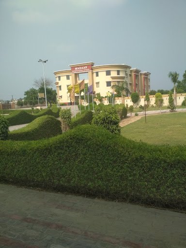 Madaan International School