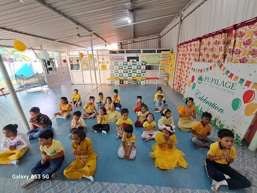 Pupilage A 21st Century Gurukul