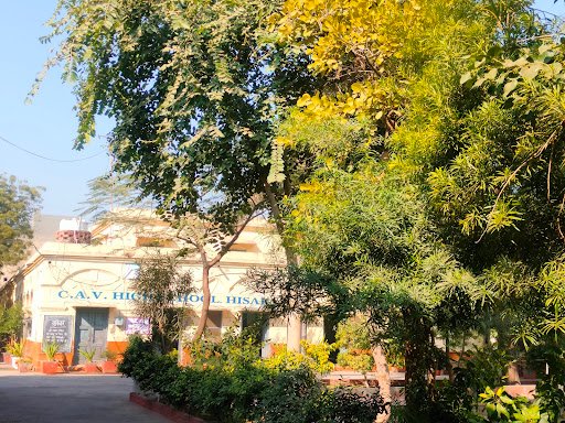 Chandulal Anglo Vedic High School