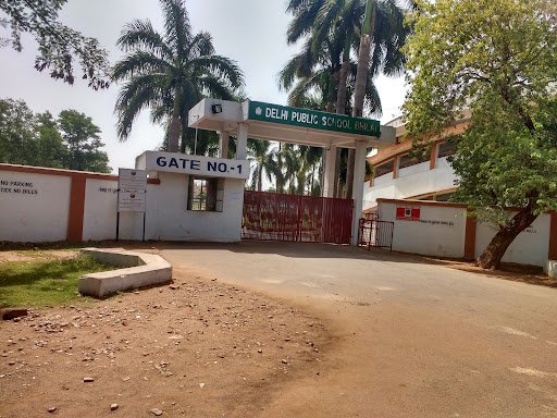Delhi Public School, Bhilai