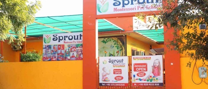 sprout montessori preschool play school ambala