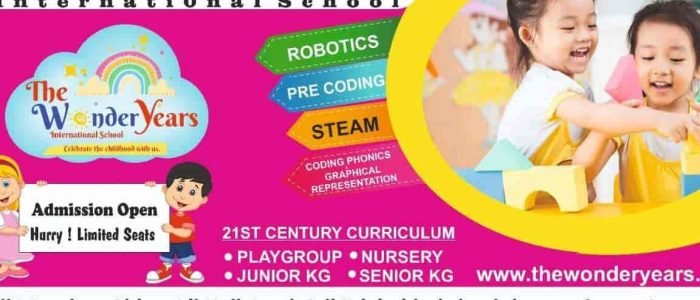 the wonder years international school